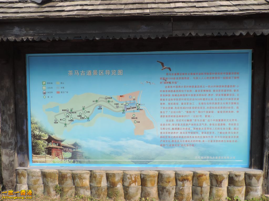 DSCN0298.jpg