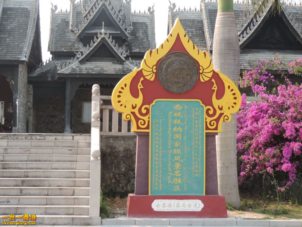 DSCN0307.jpg