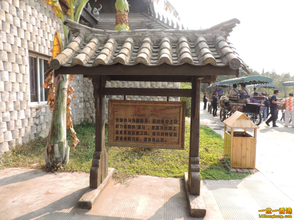 DSCN0313.jpg