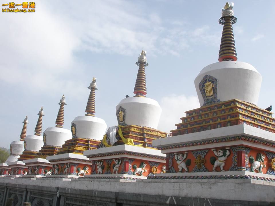 DSCN7714a.jpg