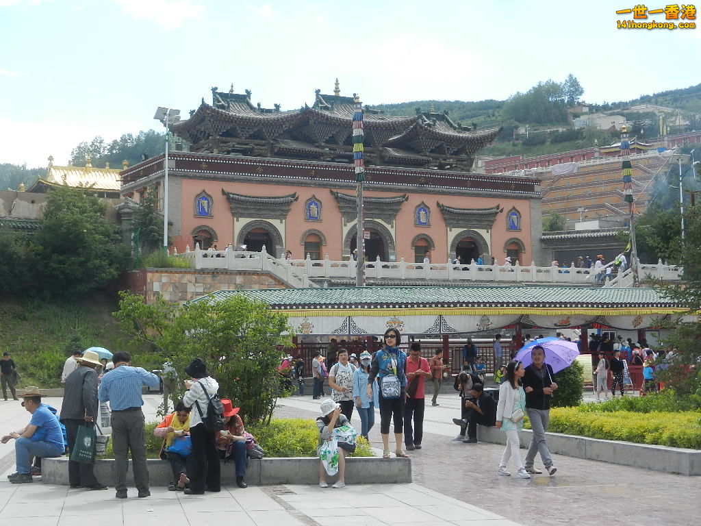 DSCN7716.JPG