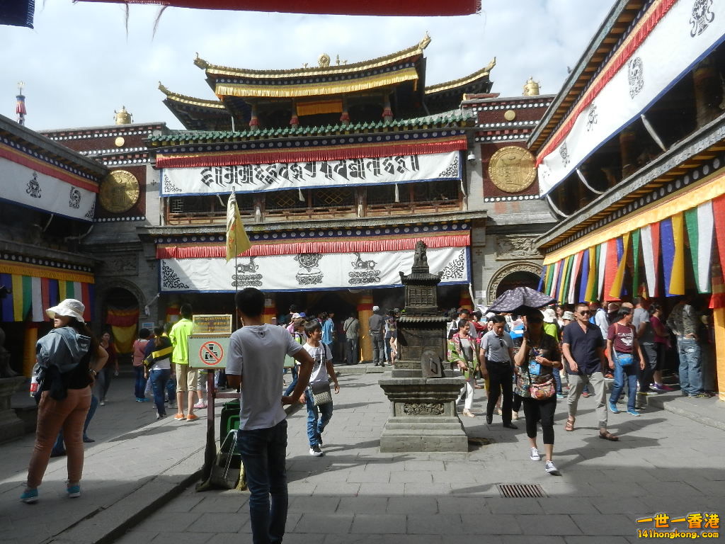 DSCN7739.JPG