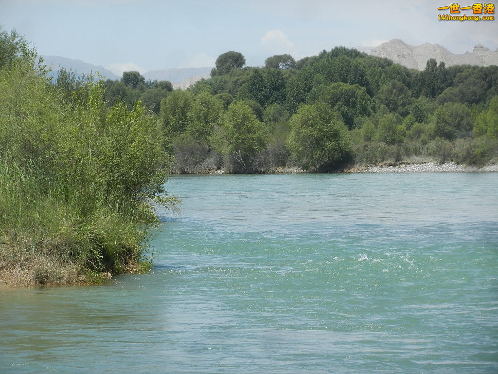 DSCN8455.JPG