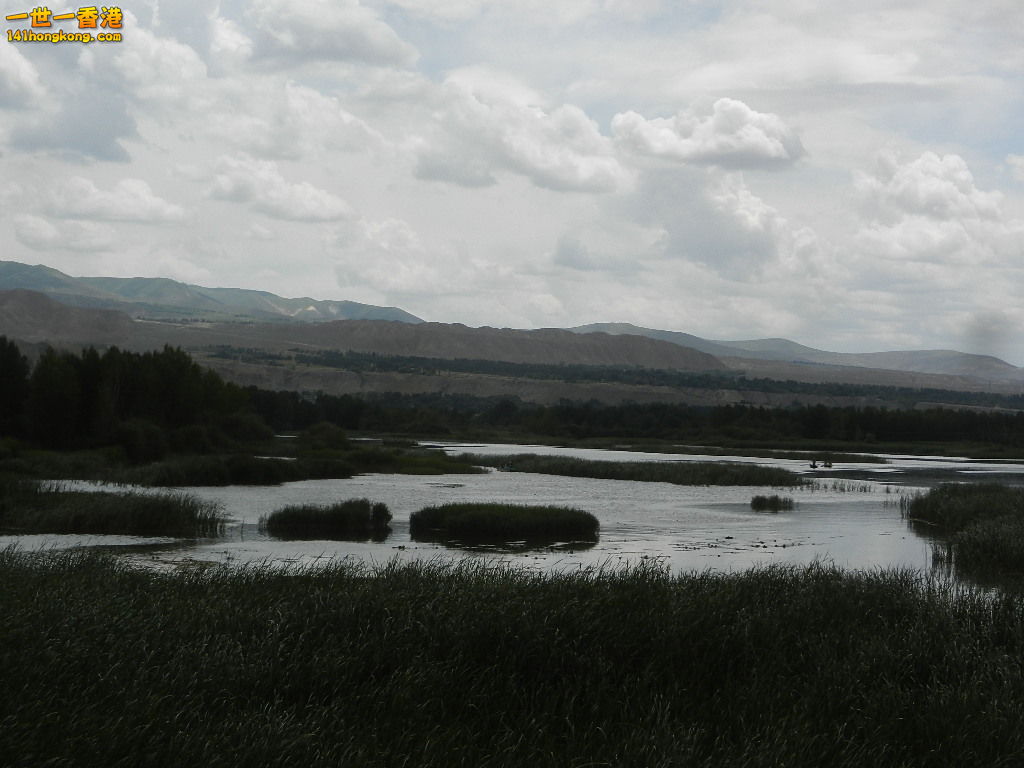 DSCN8487.JPG
