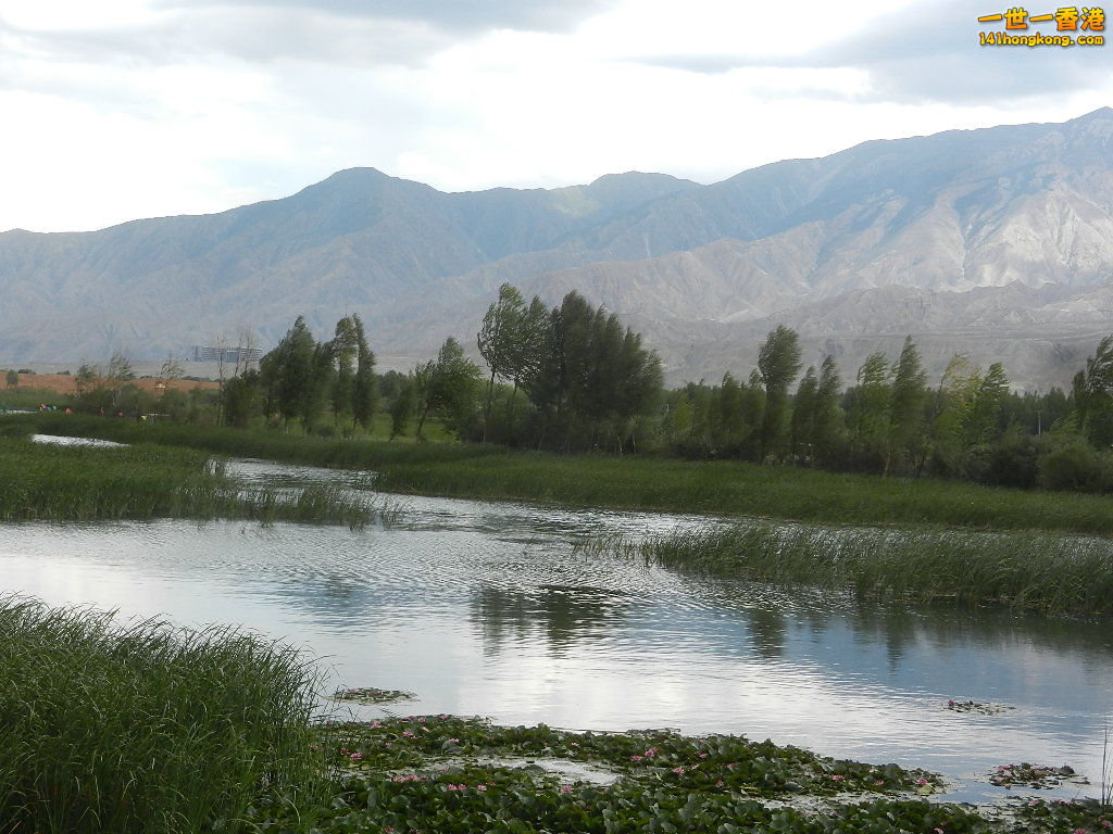 DSCN8488.JPG