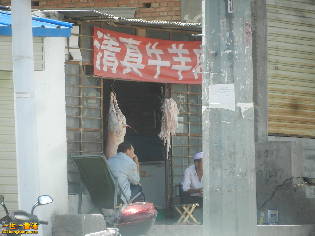 DSCN8467.JPG