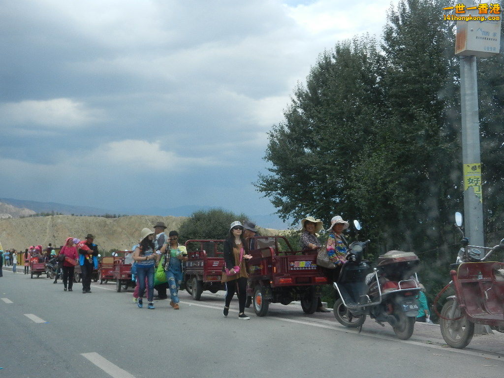 DSCN8478.JPG