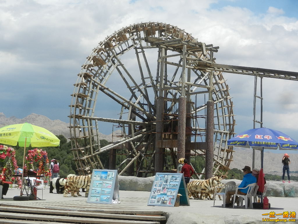 DSCN8464.JPG