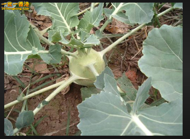 4-8-2015 18-05-11.jpg