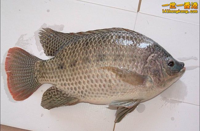 20143271023490797 650.jpg