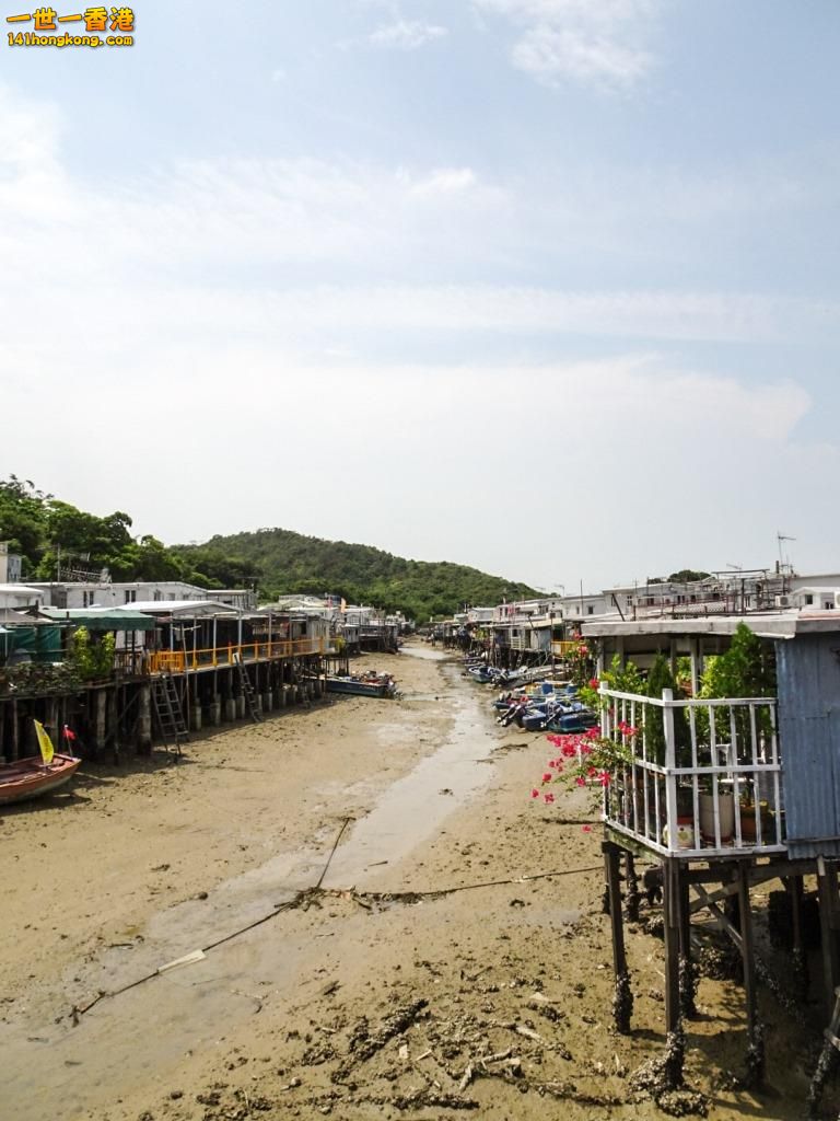 PSX_20150811_175844 - 複製.jpg