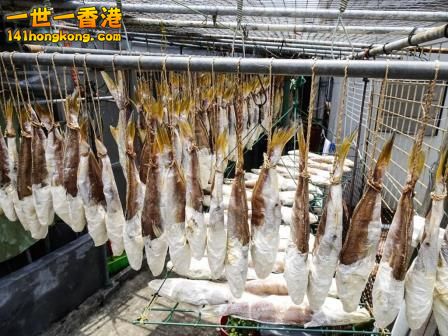 PSX_20150811_181102 - 複製.jpg