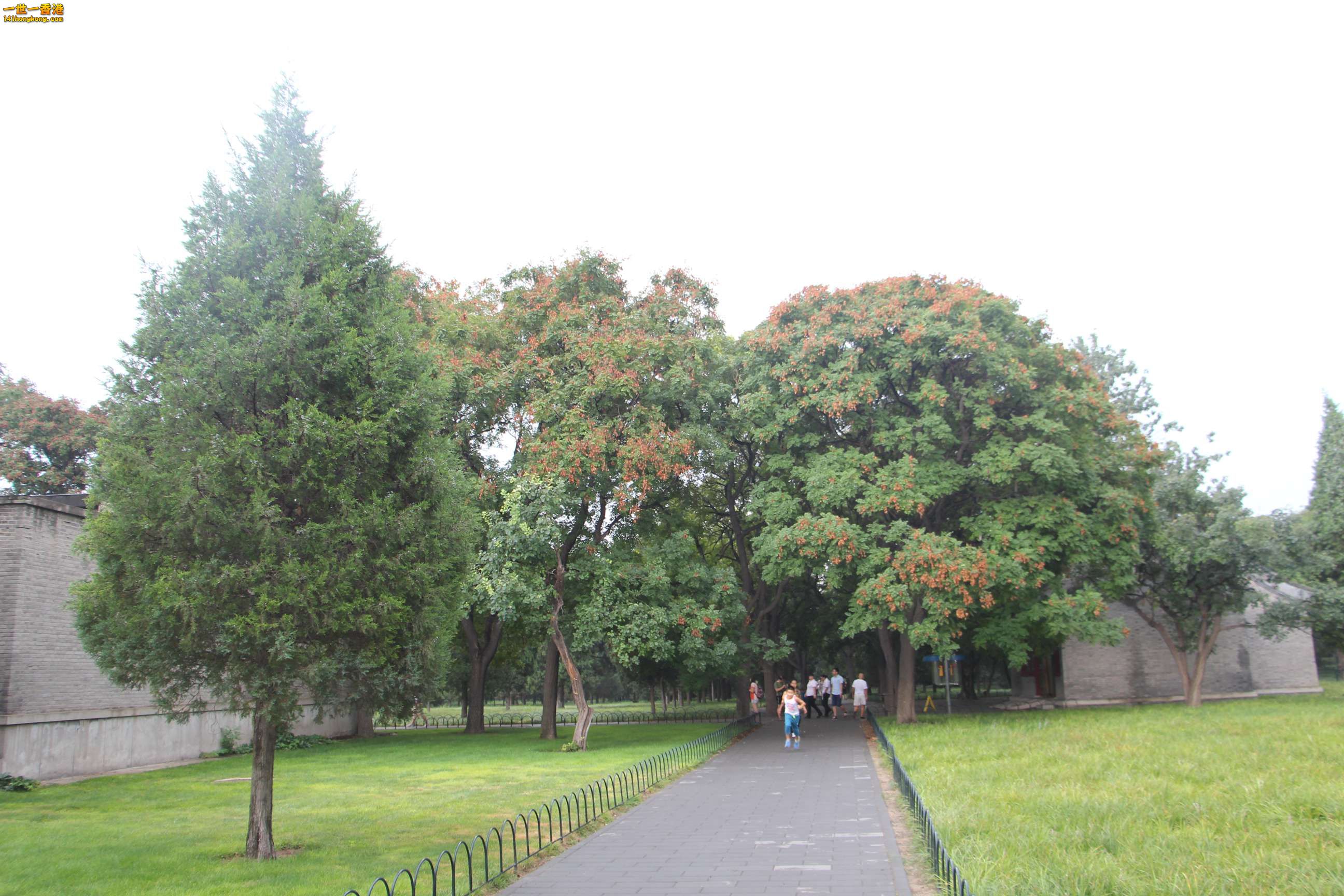 IMG_1904.jpg