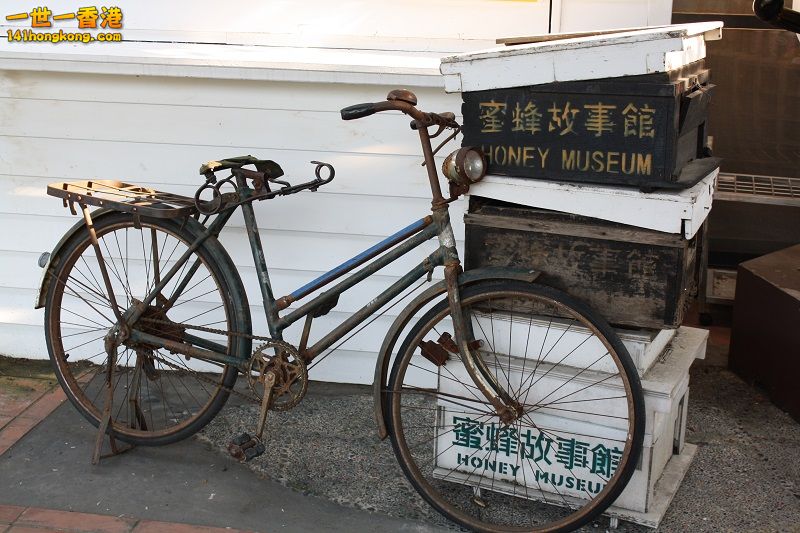 IMG_4795 800 m h.jpg