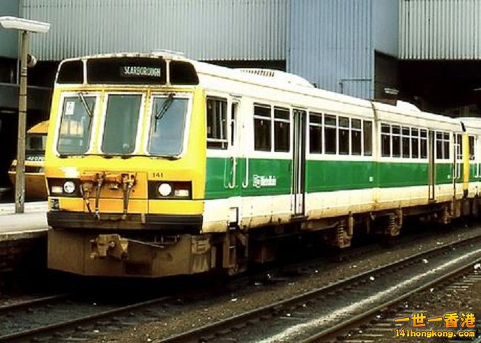 t141.JPG
