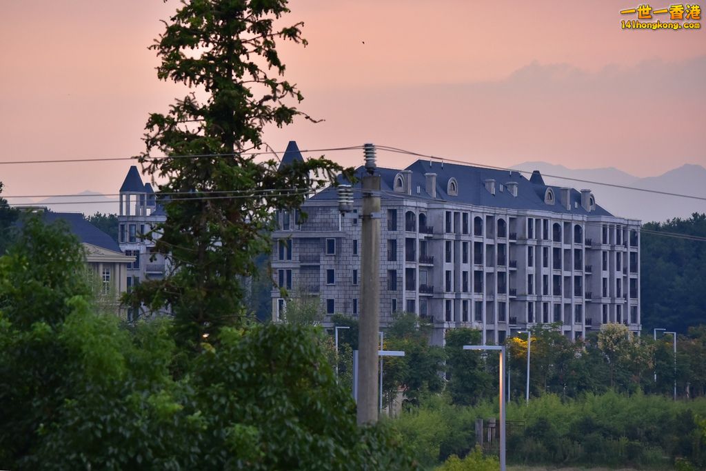 _DSC7934A.jpg