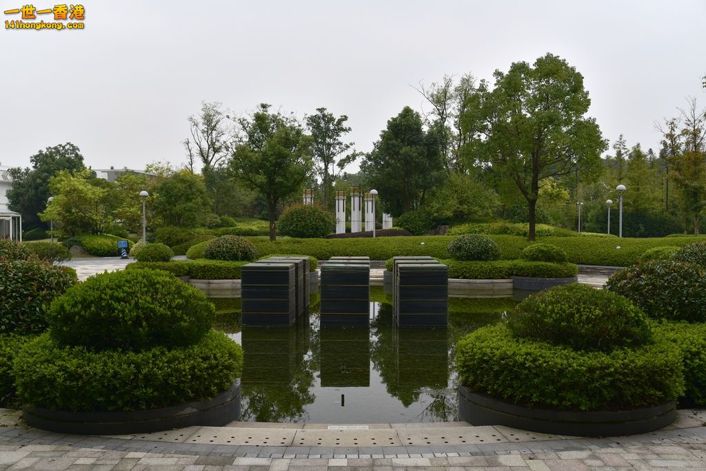 _DSC8055.jpg