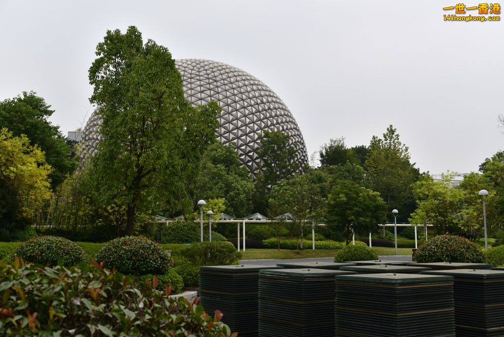 _DSC8056.jpg