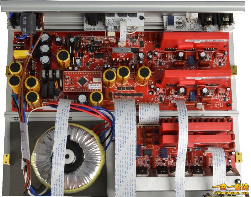 daily002664ss 800.jpg