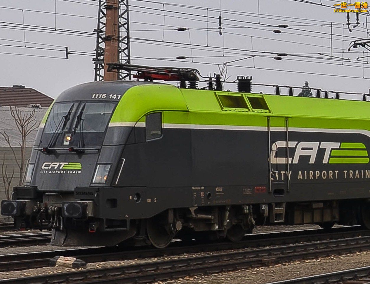 1116-141.jpg