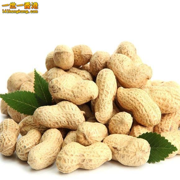 食材2熟花生100克.jpg