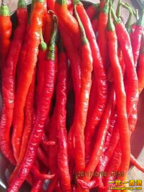 1.主料新鮮辣椒.jpg
