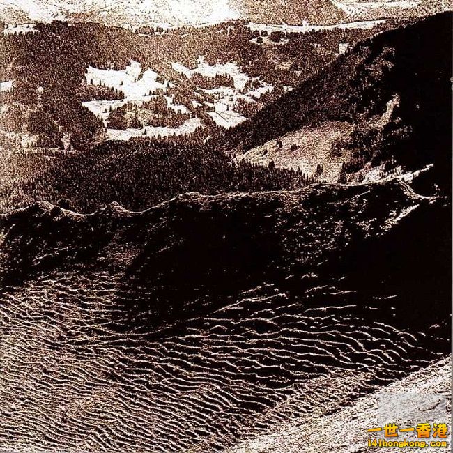 0020169678_bc_01 650.jpg