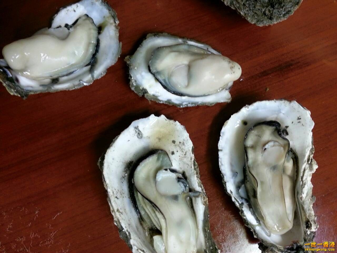 生蠔.jpg