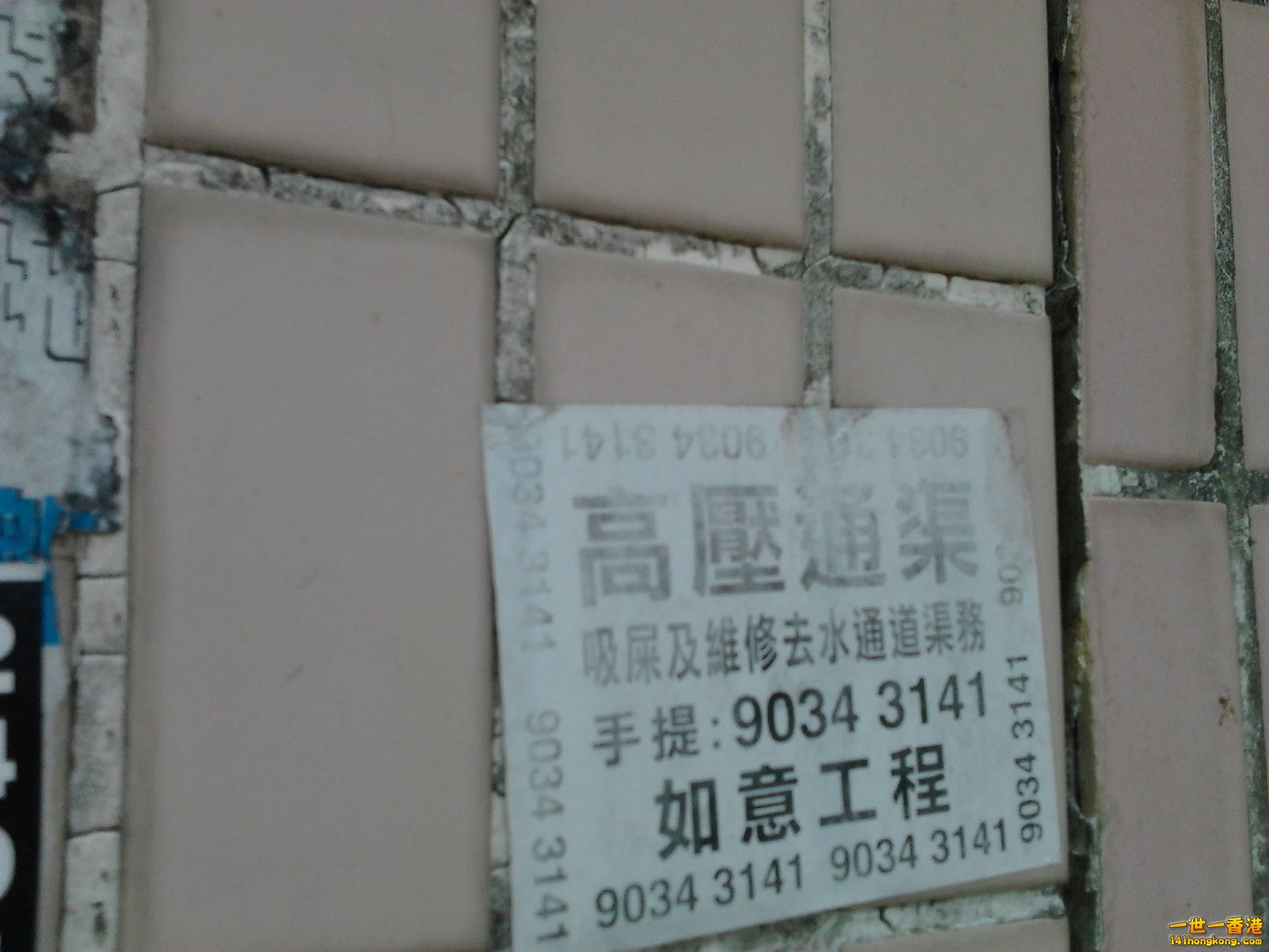 相片1291.jpg