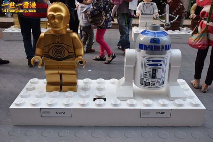 DSC_0470.JPG