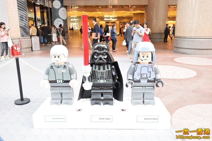 DSC_0474.JPG