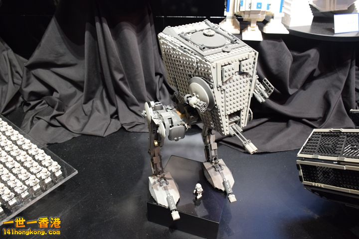 DSC_0498.JPG