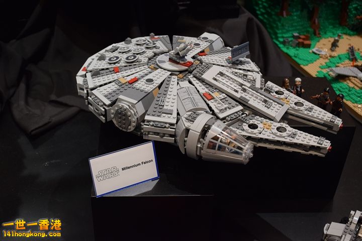 DSC_0504.JPG