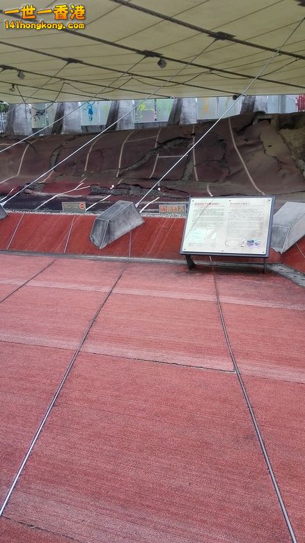 20140714_111450.jpg