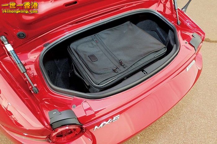 cn294-04-06 800 780 700.jpg