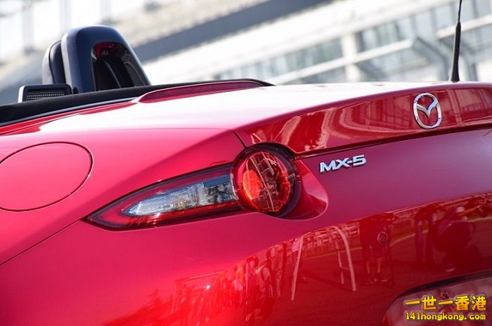 DSC_0285 800 780 700.jpg