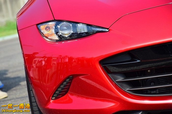 DSC_0213 800 780 700.jpg