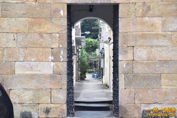 DSC_0246.JPG