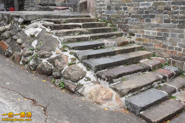 DSC_0254.JPG