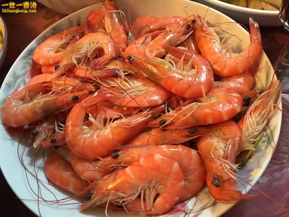 蝦蝦.jpg
