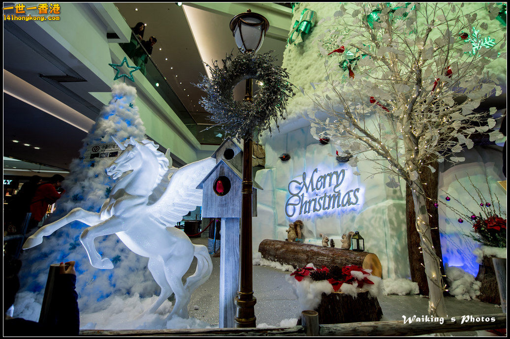 2015-12-25 Xmas 0011.jpg