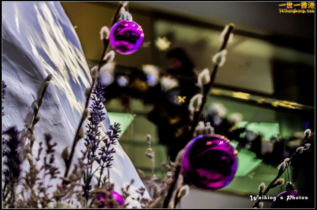 2015-12-25 Xmas 0027.jpg
