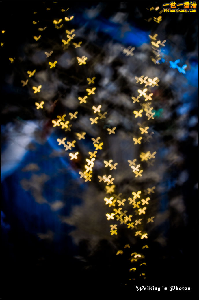 2015-12-25 Xmas 0028.jpg