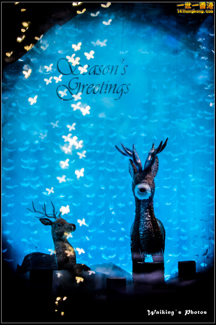 2015-12-25 Xmas 0029.jpg