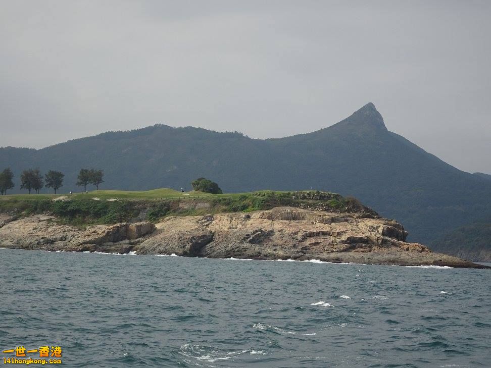 8a.jpg