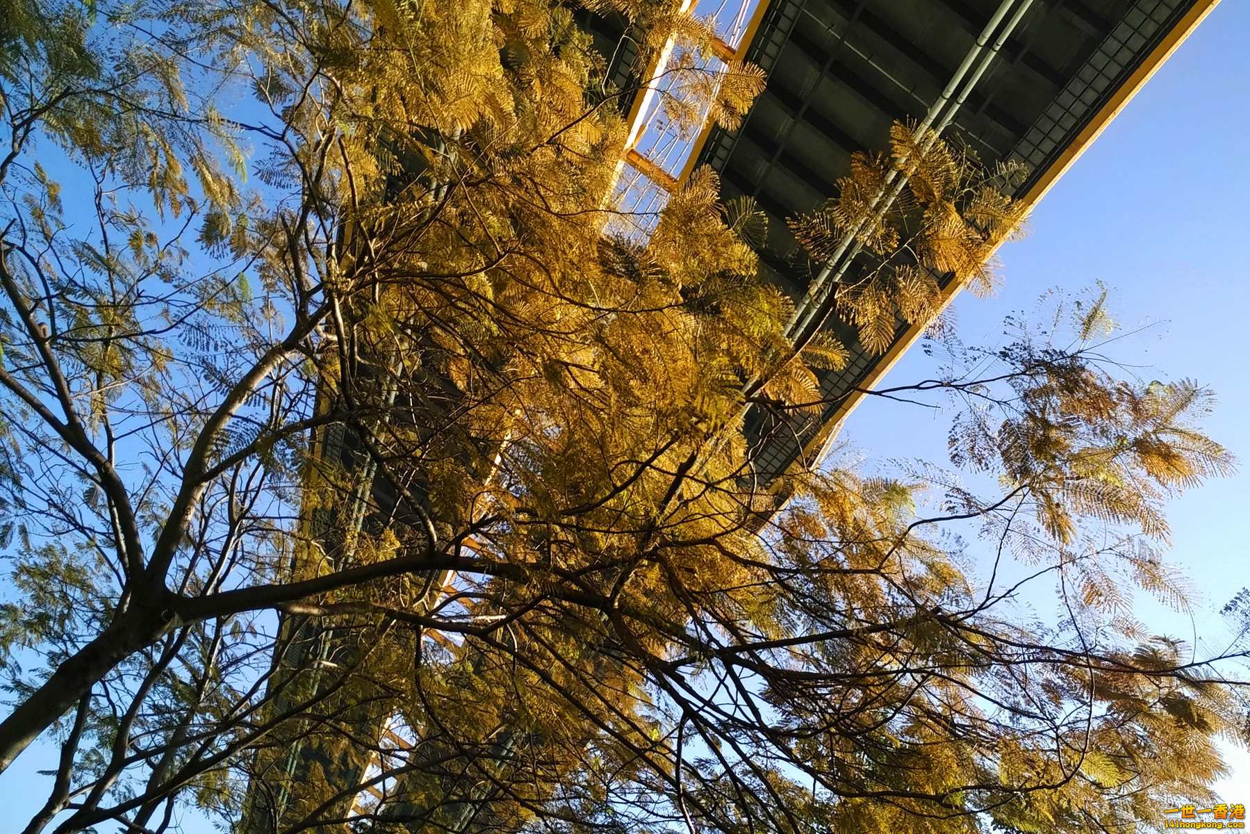 IMG_20151224_151333_1_AO_HDR.jpg