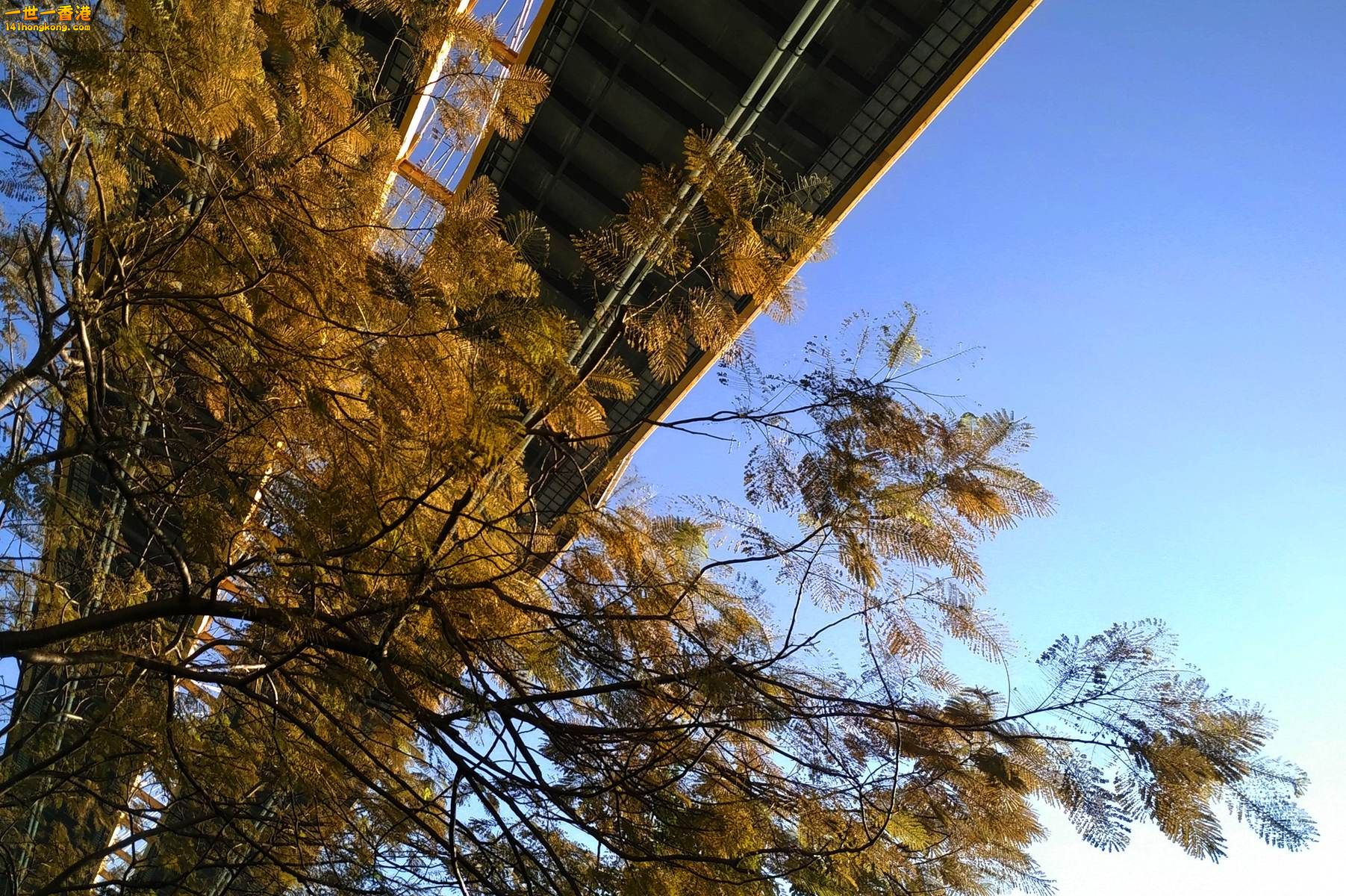IMG_20151224_151333_AO_HDR.jpg