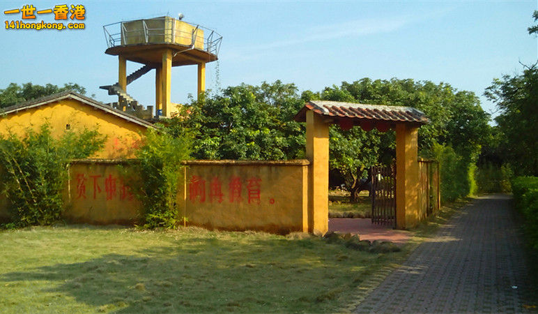 1.jpg