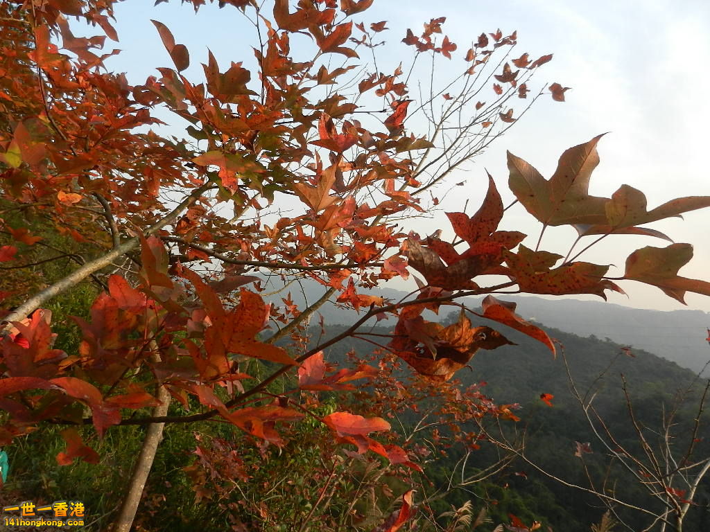 DSCN3644.JPG