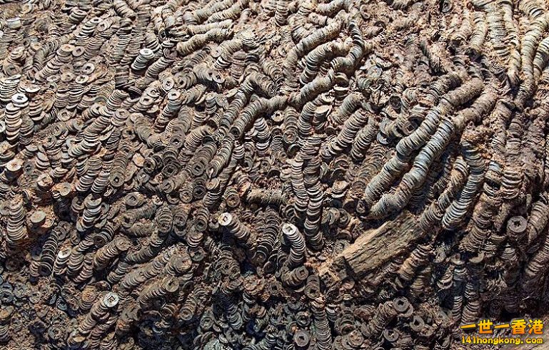 0 (8) 800 790 770 ok good.jpg